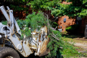 Pile tree branches in the city street removal of branch removal in tractor bucket