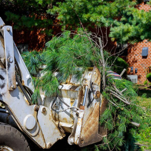 Pile tree branches in the city street removal of branch removal in tractor bucket.