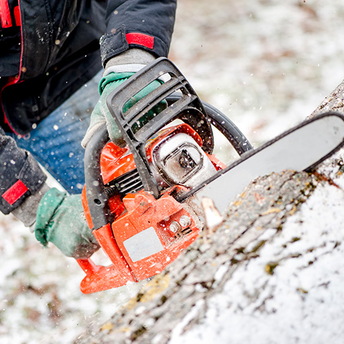Woodcutter or lumberjack cutting fire wood in garden during winter