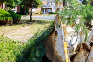 Branch removal in tractor bucket workers in municipal tree branches