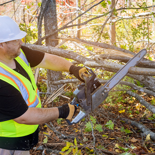 In the autumn park, the worker cuts down trees that fell as a result of a strong hurricane