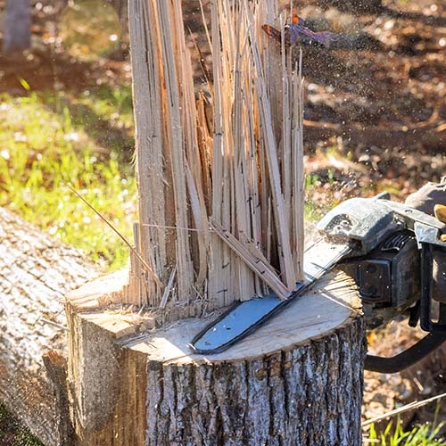 professional man cutting down a tree trunk