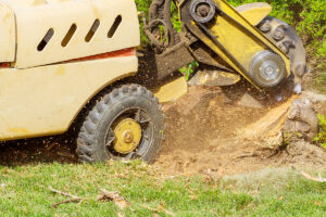 stump grinding-featured