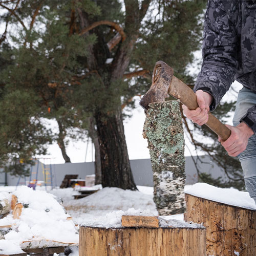 The Role of Professional Arborists in Winter Tree Removal Fall River