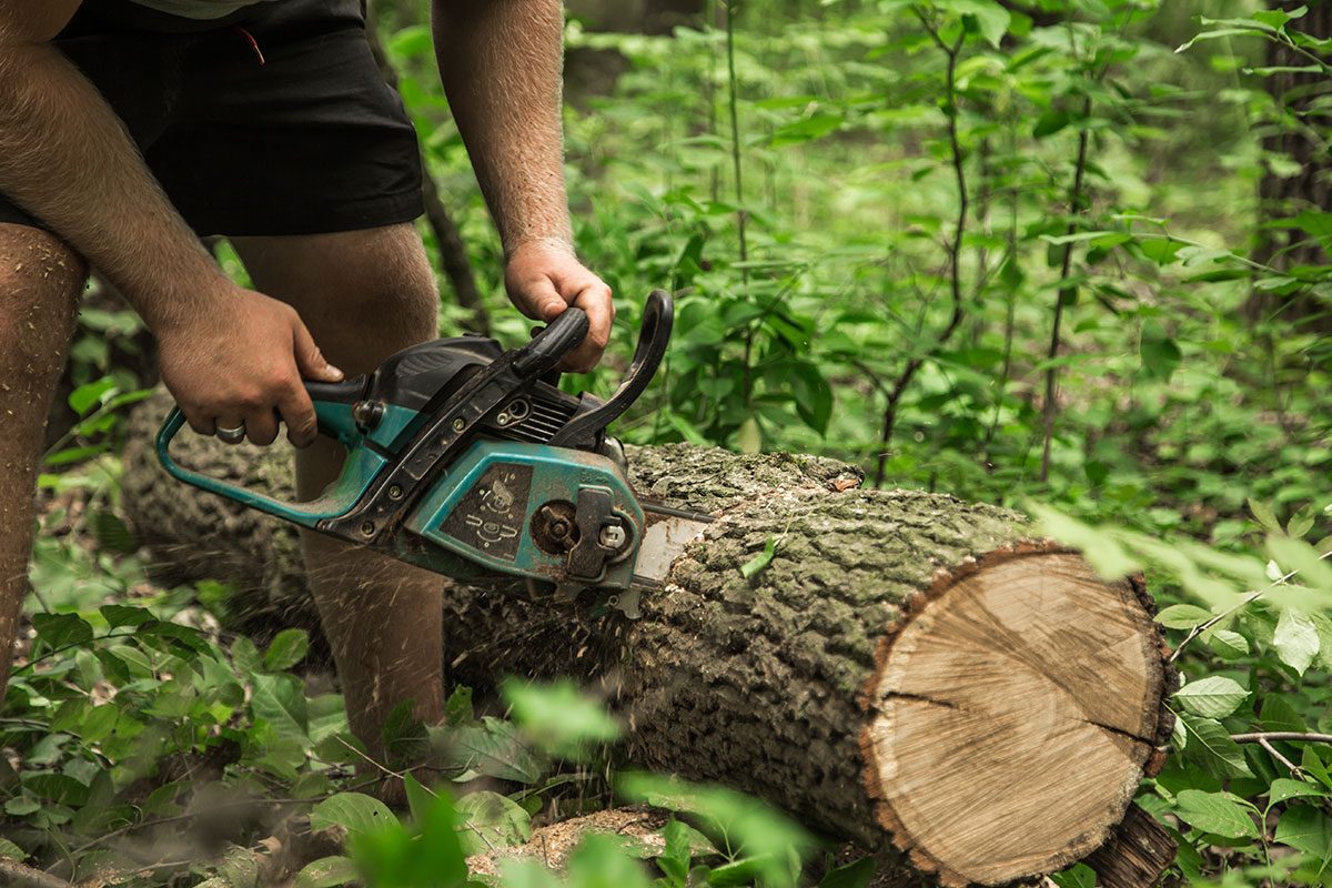 June 2023 Norman Tree Service