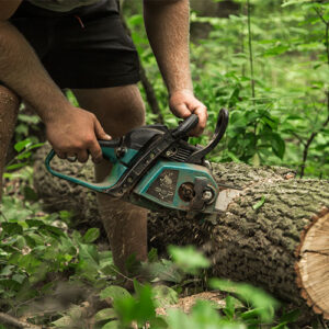 A man with a chainsaw cuts the tree