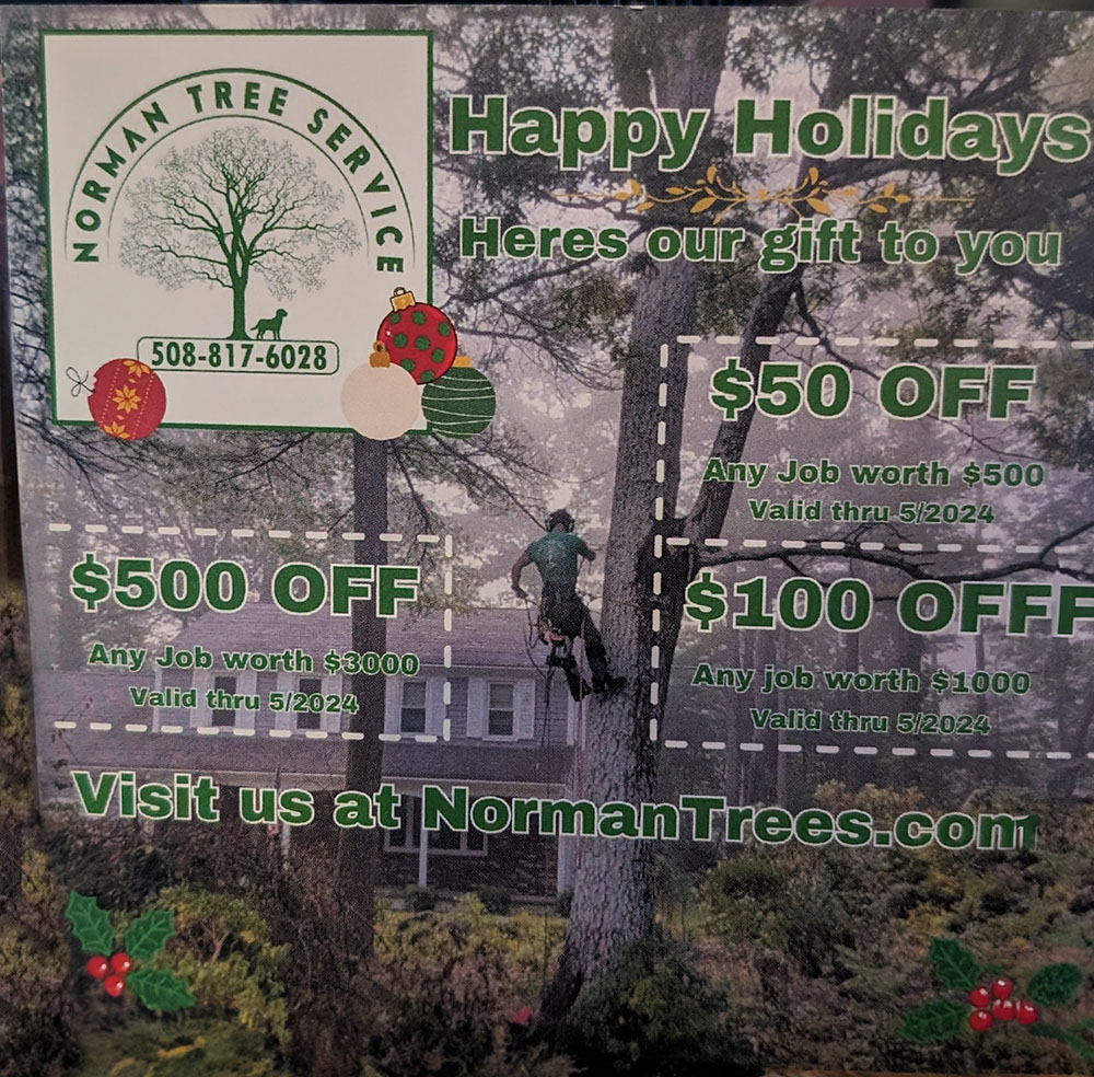 tree-discount